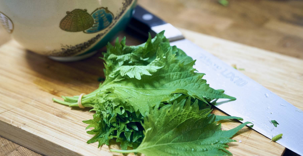 Bild auf dem ein Bündlein Brennessel auf einem Schneidebrett liegt. Ein Schüssel ist im Ansatz zu erkennen und ein großes Küchenmesser mit Spuren von Kräutern an der Spitze liegt neben dem Bündel.